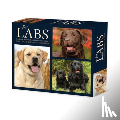 Willow Creek Press - Labs 2025 6.2 X 5.4 Box Calendar