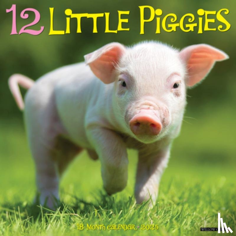 Willow Creek Press - 12 Little Piggies 2025 12 X 12 Wall Calendar