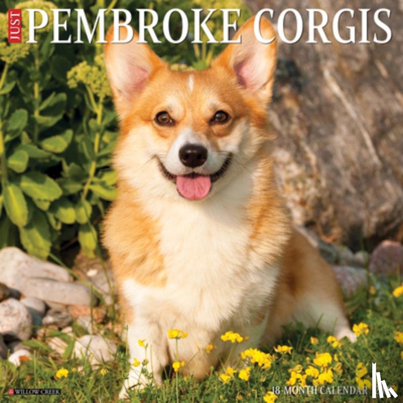 Willow Creek Press - Just Pembroke Corgis 2025 12 X 12 Wall Calendar