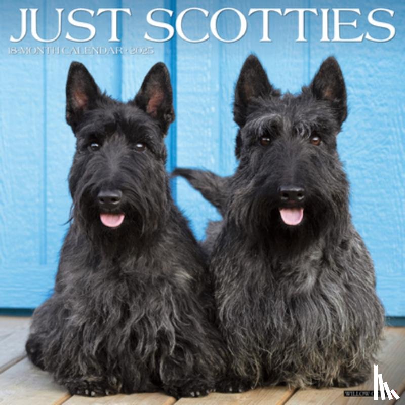 Willow Creek Press - Just Scotties 2025 12 X 12 Wall Calendar