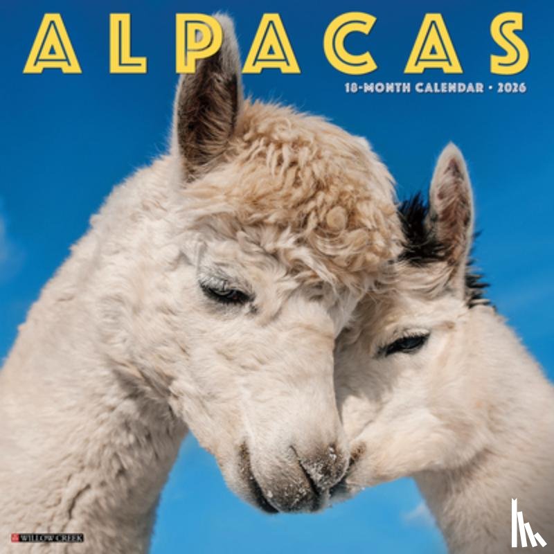 Willow Creek Press - Alpacas 2026 12 X 12 Wall Calendar
