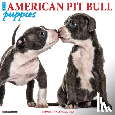 Willow Creek Press - American Pit Bull Terrier Puppies 2026 12 X 12 Wall Calendar