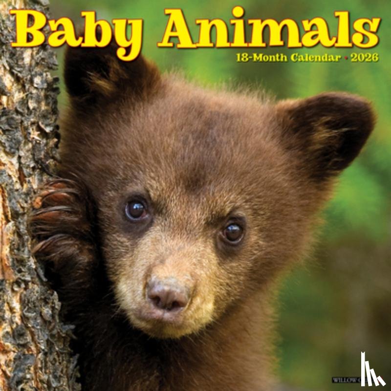 Willow Creek Press - Baby Animals 2026 12 X 12 Wall Calendar