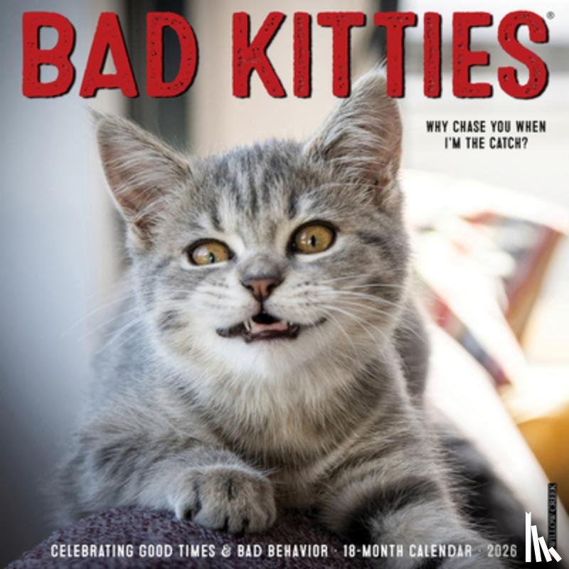 Willow Creek Press - Bad Kitties 2026 12 X 12 Wall Calendar