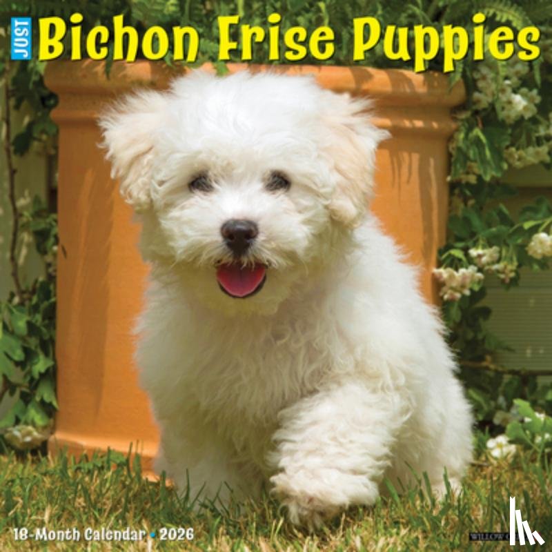 Willow Creek Press - Bichon Frise Puppies 2026 12 X 12 Wall Calendar