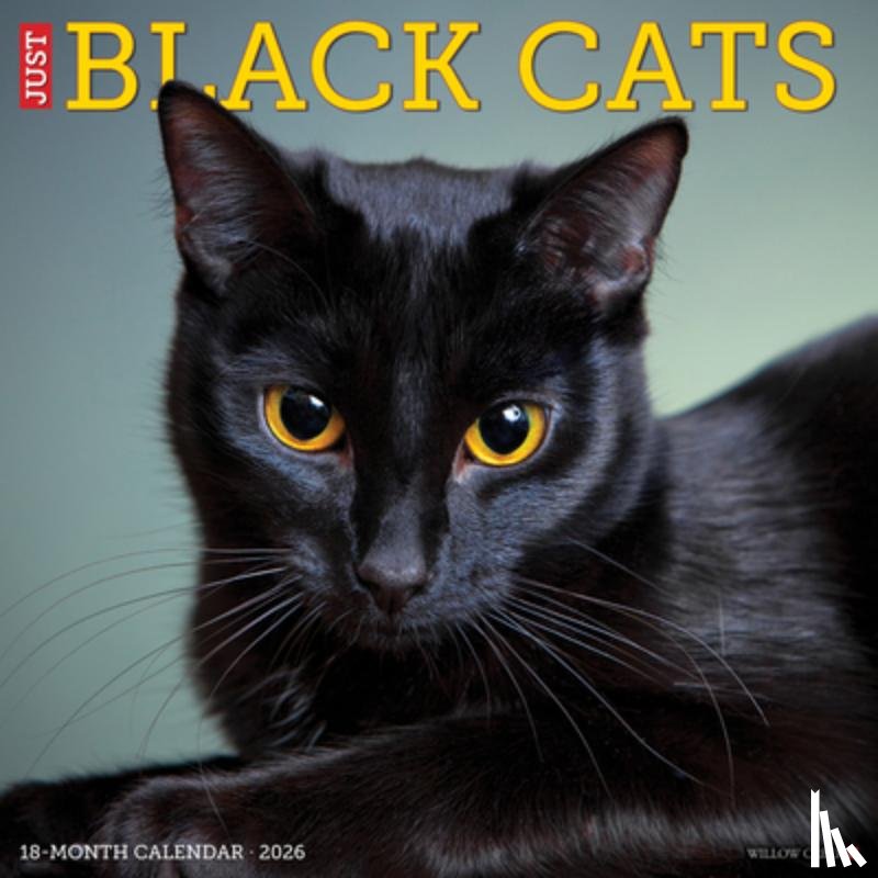 Willow Creek Press - Black Cats 2026 12 X 12 Wall Calendar