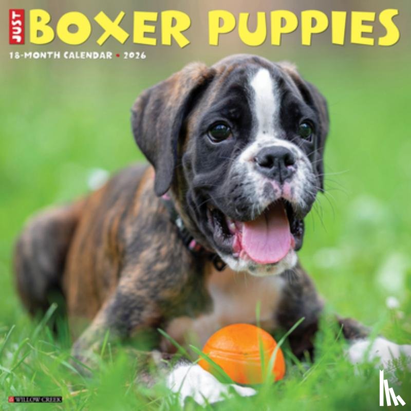 Willow Creek Press - Boxer Puppies 2026 12 X 12 Wall Calendar