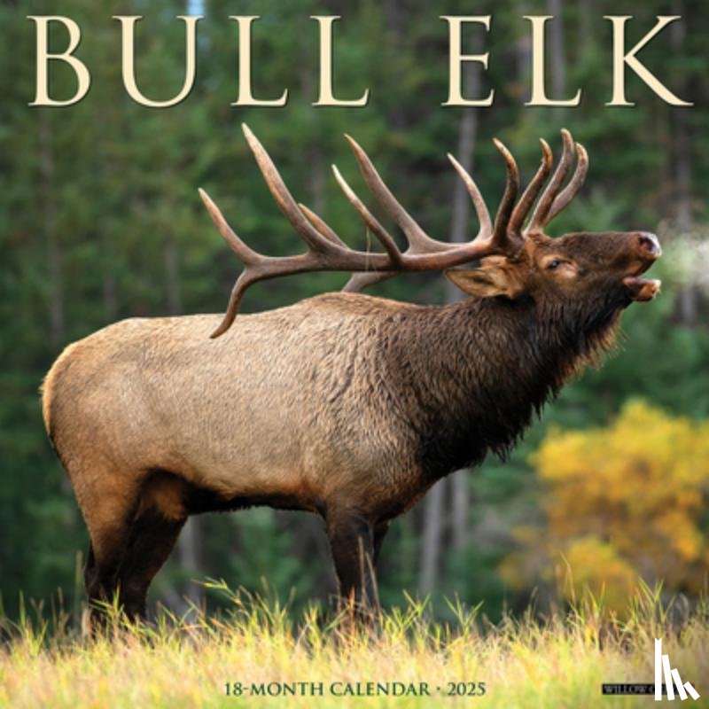 Willow Creek Press - Bull Elk 2026 12 X 12 Wall Calendar