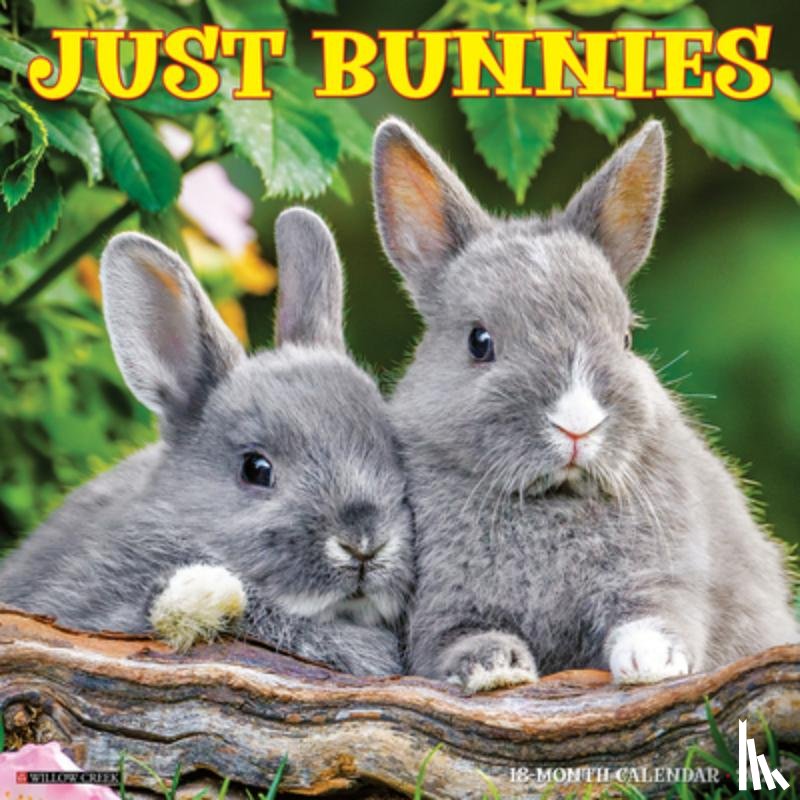 Willow Creek Press - Bunnies 2026 12 X 12 Wall Calendar