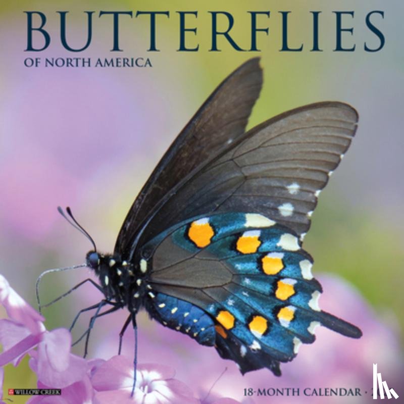 Willow Creek Press - Butterflies 2026 12 X 12 Wall Calendar