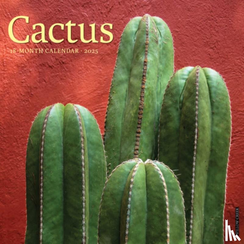 Willow Creek Press - Cactus 2026 12 X 12 Wall Calendar