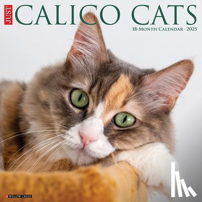 Willow Creek Press - Calico Cats 2026 12 X 12 Wall Calendar