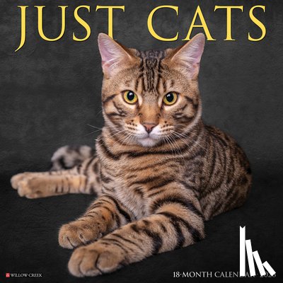 Willow Creek Press - Cats 2026 12 X 12 Wall Calendar