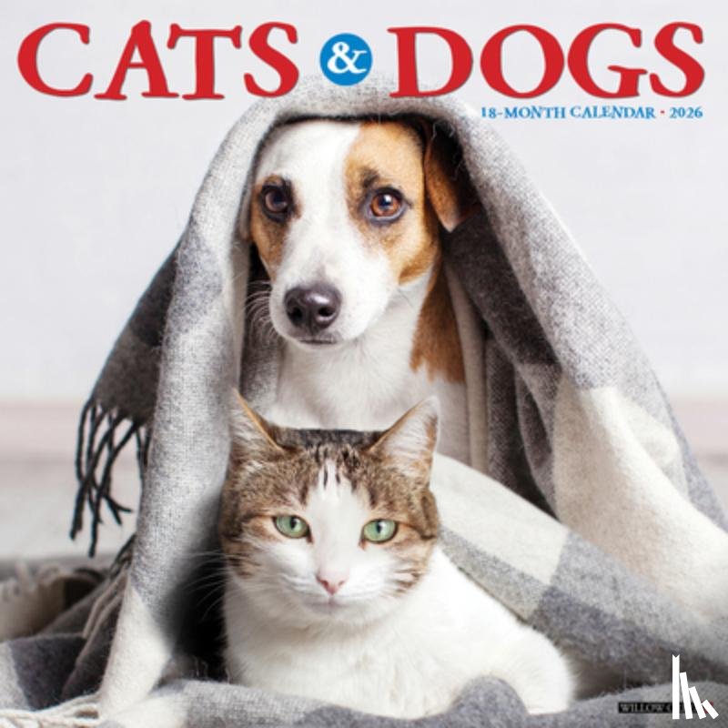 Willow Creek Press - Cats & Dogs 2026 12 X 12 Wall Calendar