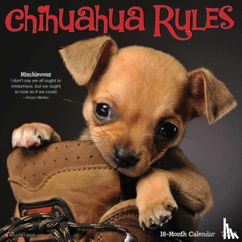 Willow Creek Press - Chihuahua Rules 2026 12 X 12 Wall Calendar