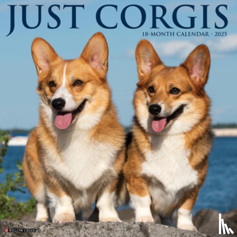 Willow Creek Press - Corgis 2026 12 X 12 Wall Calendar