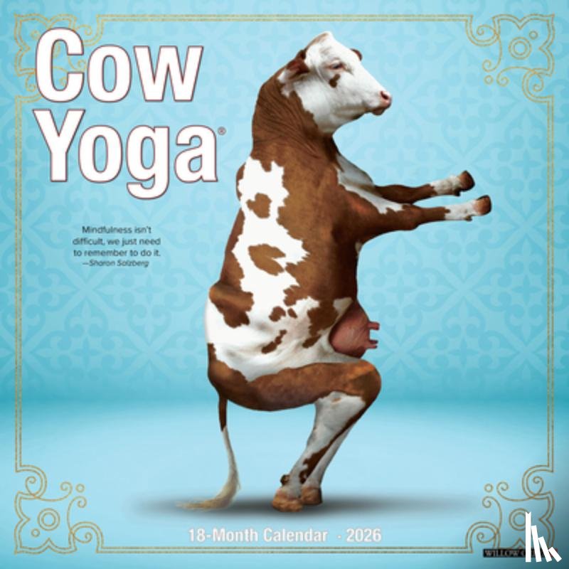 Willow Creek Press - Cow Yoga 2026 12 X 12 Wall Calendar