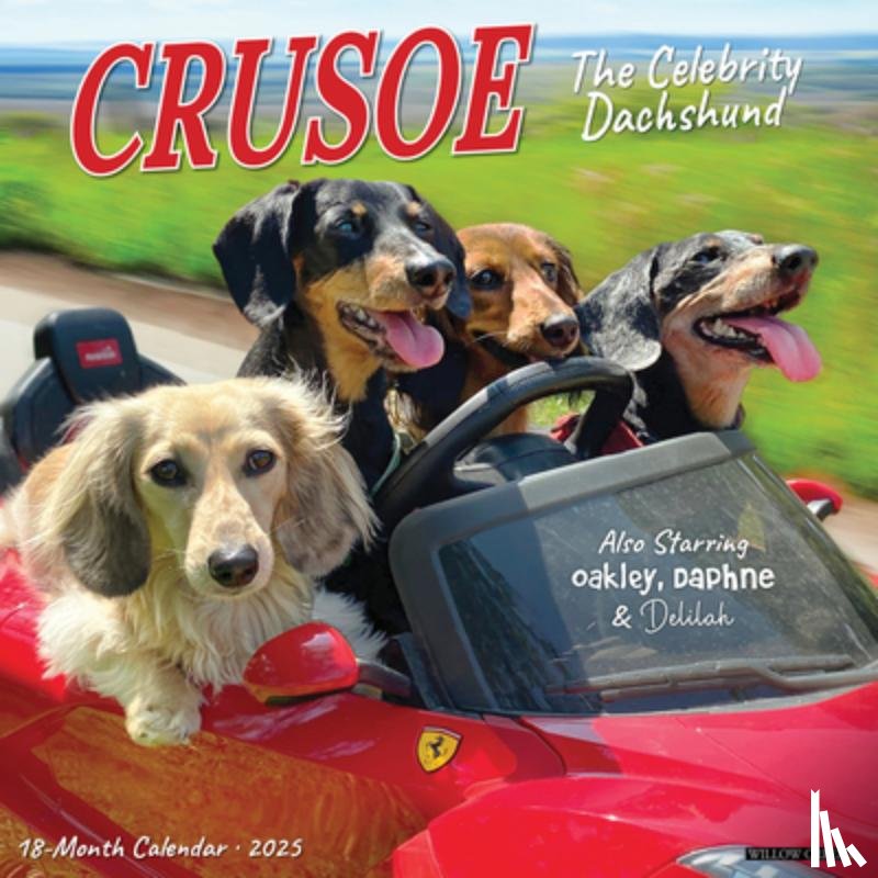 Beauchesne, Ryan - Crusoe the Celebrity Dachshund 2026 12 X 12 Wall Calendar