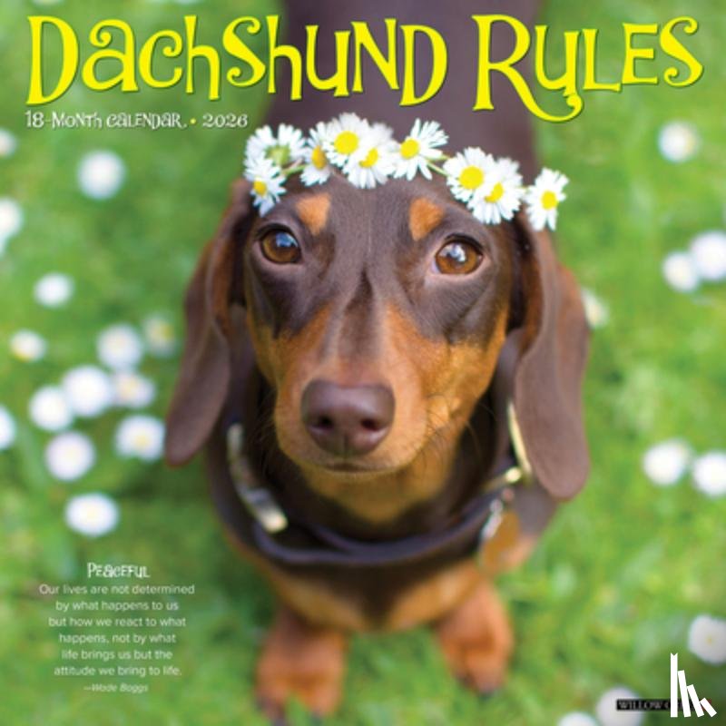 Willow Creek Press - Dachshund Rules 2026 12 X 12 Wall Calendar