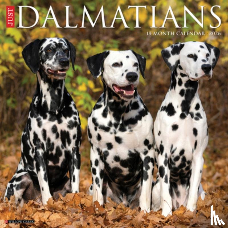 Willow Creek Press - Dalmatians 2026 12 X 12 Wall Calendar