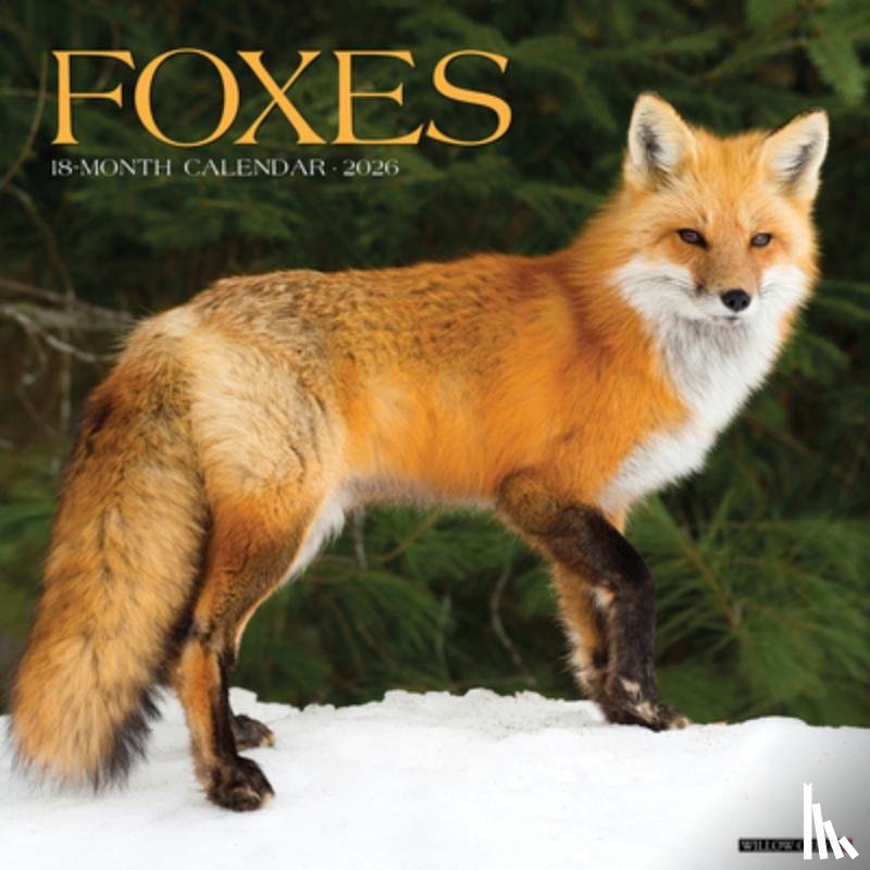 Willow Creek Press - Foxes 2026 12 X 12 Wall Calendar