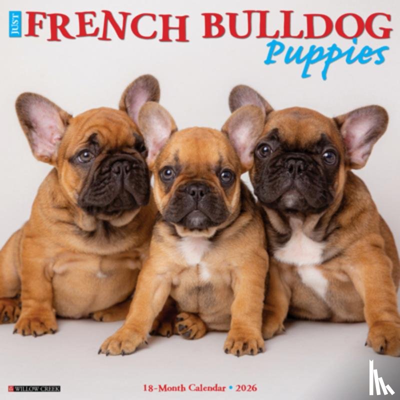 Willow Creek Press - French Bulldog Puppies 2026 12 X 12 Wall Calendar