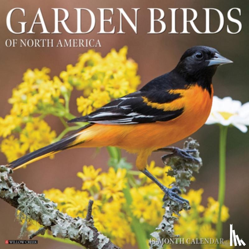 Willow Creek Press - Garden Birds 2026 Wall Calendar