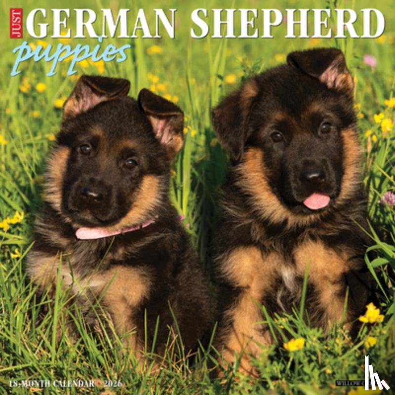 Willow Creek Press - German Shepherd Puppies 2026 12 X 12 Wall Calendar