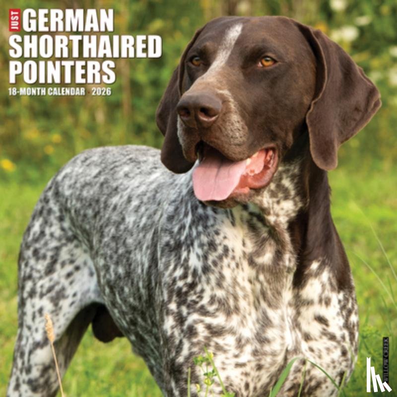 Willow Creek Press - German Shorthair Pointers 2026 Wall Calendar