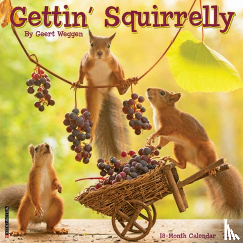 Weggen, Geert - Gettin' Squirrelly 2026 12 X 12 Wall Calendar
