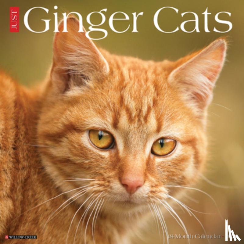 Willow Creek Press - Ginger Cats 2026 12 X 12 Wall Calendar