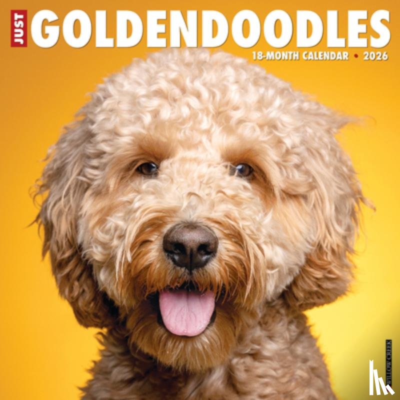 Willow Creek Press - Goldendoodles 2026 12 X 12 Wall Calendar