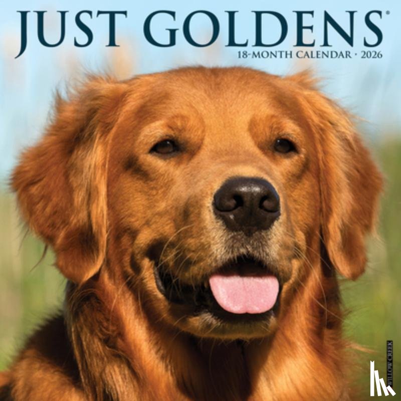 Willow Creek Press - Goldens 2026 Wall Calendar