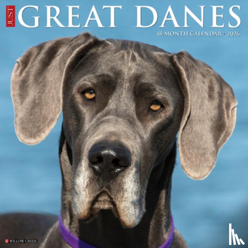 Willow Creek Press - Great Danes 2026 Wall Calendar