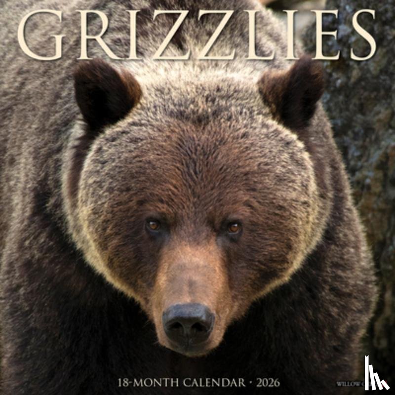 Willow Creek Press - Grizzlies 2026 12 X 12 Wall Calendar