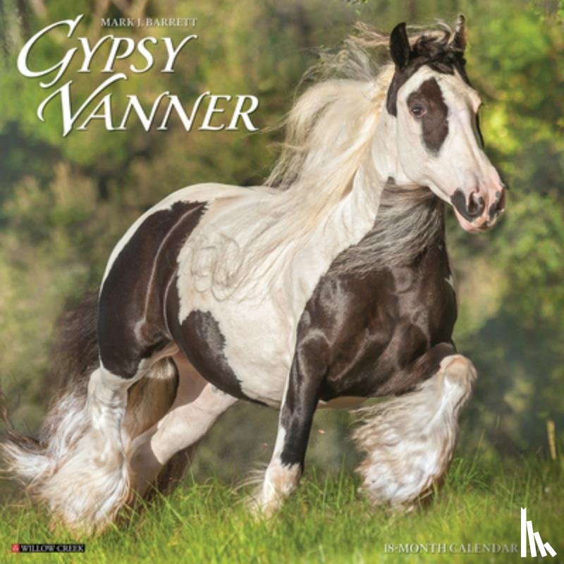 Willow Creek Press - Gypsy Vanner Horse 2026 12 X 12 Wall Calendar