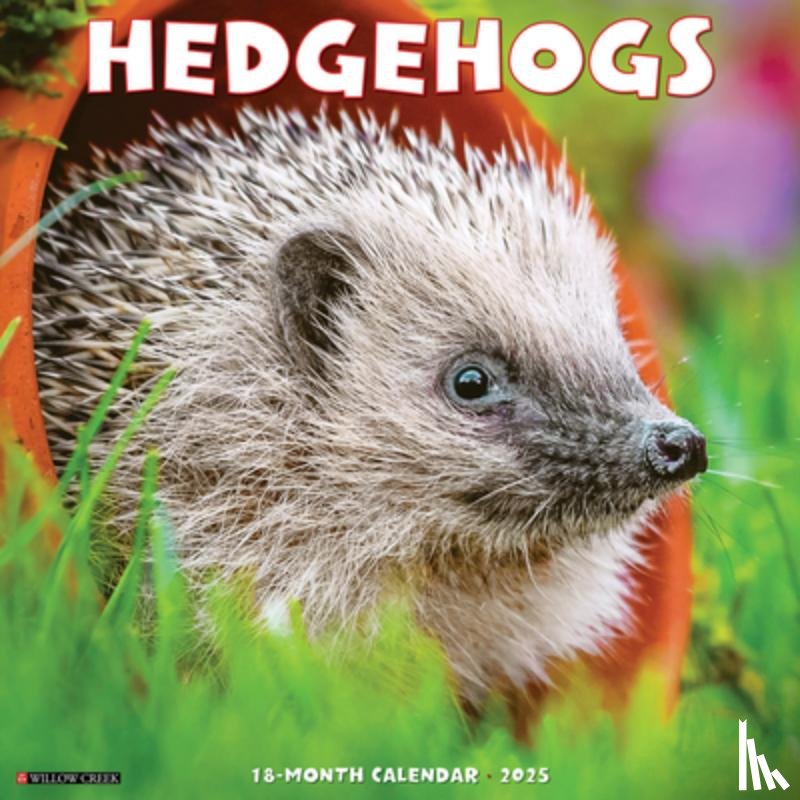 Willow Creek Press - Hedgehogs 2026 12 X 12 Wall Calendar