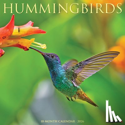 Willow Creek Press - Hummingbirds 2026 Wall Calendar