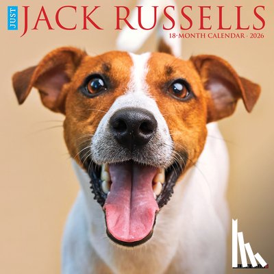 Willow Creek Press - Jack Russells 2026 Wall Calendar
