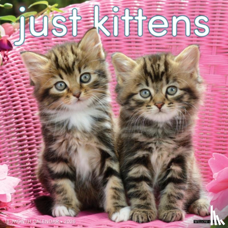 Willow Creek Press - Kittens 2026 12 X 12 Wall Calendar