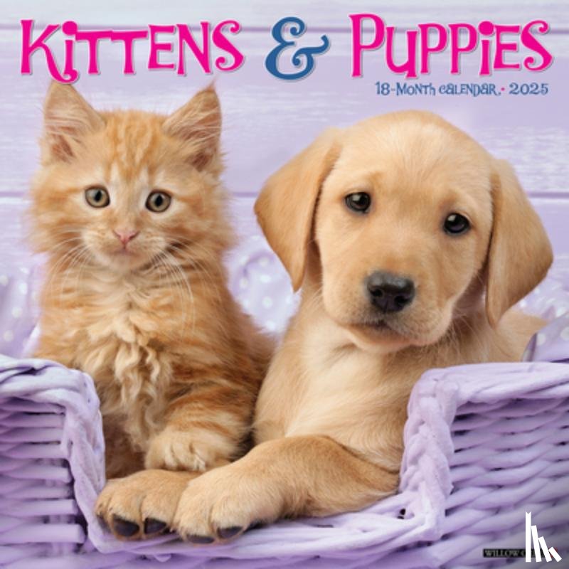 Willow Creek Press - Kittens & Puppies 2026 Wall Calendar