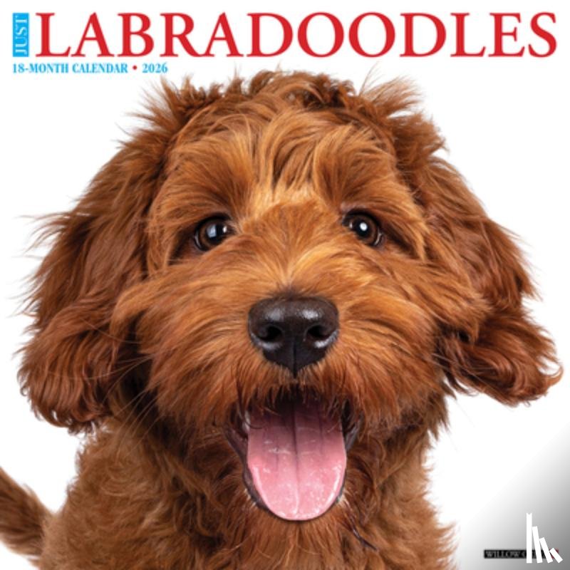 Willow Creek Press - Labradoodles 2026 Wall Calendar