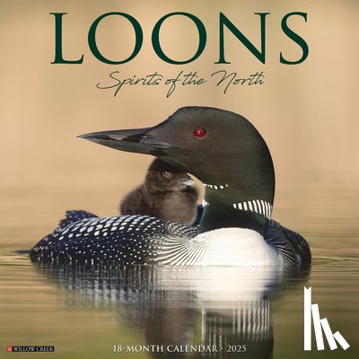 Willow Creek Press - Loons 2026 Wall Calendar