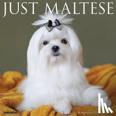 Willow Creek Press - Maltese 2026 12 X 12 Wall Calendar