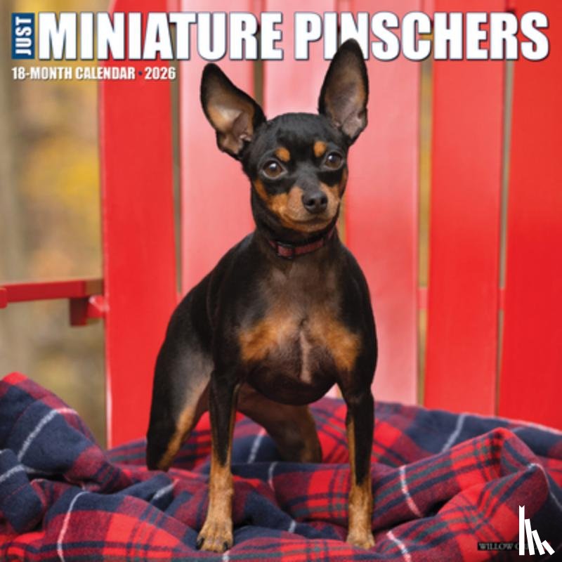 Willow Creek Press - Miniature Pinschers 2026 Wall Calendar