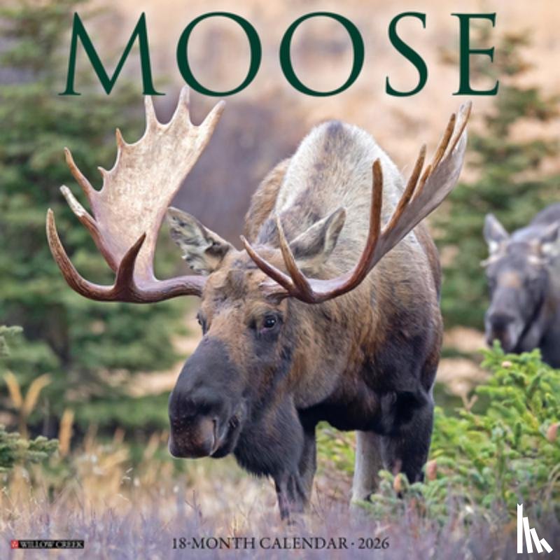 Willow Creek Press - Moose 2026 Wall Calendar