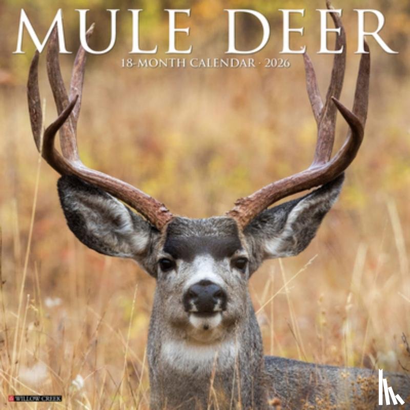 Willow Creek Press - Mule Deer 2026 Wall Calendar
