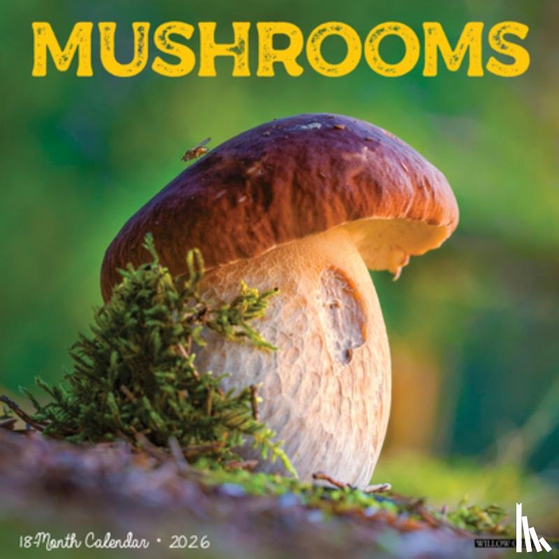 Willow Creek Press - Mushrooms 2026 Wall Calendar