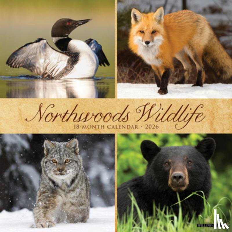 Willow Creek Press - Northwoods Wildlife 2026 Wall Calendar