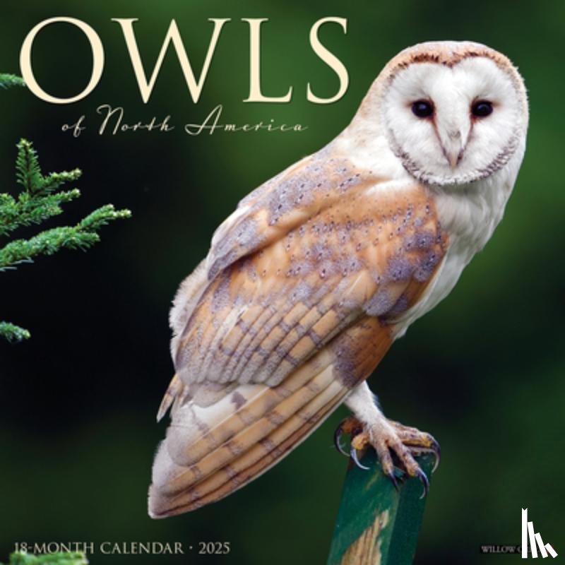Willow Creek Press - Owls 2026 Wall Calendar